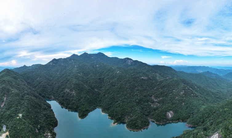 學習貫徹黨的二十屆三中全會精神 | 增城區：聚焦四個方面抓改革